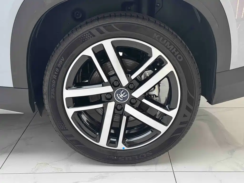 BYD L DM-i — фото 6
