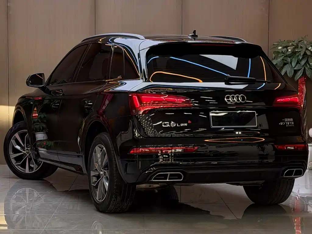 Audi Q5L — фото 19