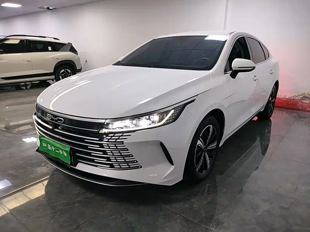 BYD Destroyer 05 — фото 2