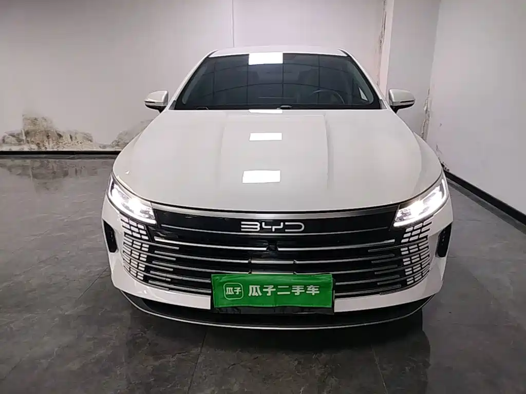 BYD Destroyer 05 — фото 3