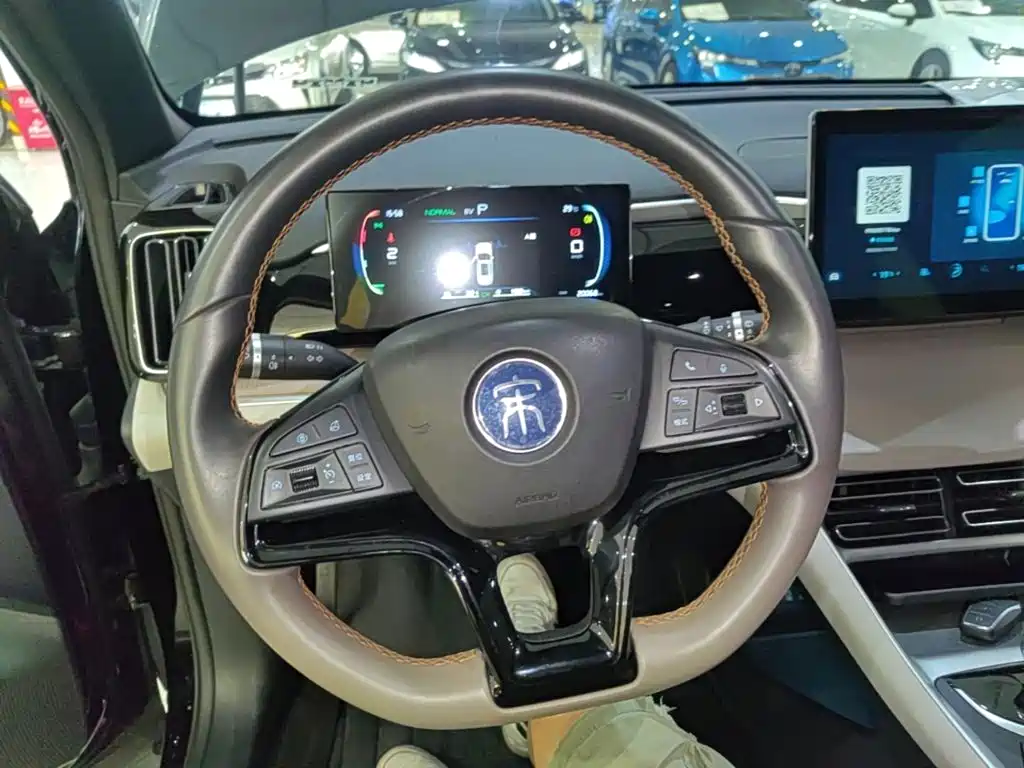 BYD Pro New Energy — фото 11