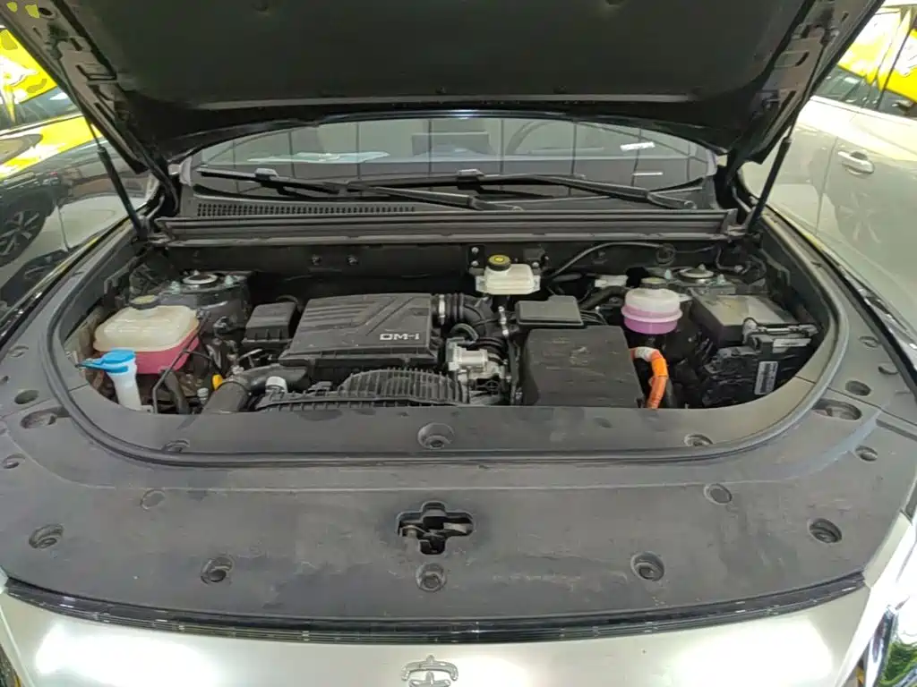BYD Pro New Energy — фото 20
