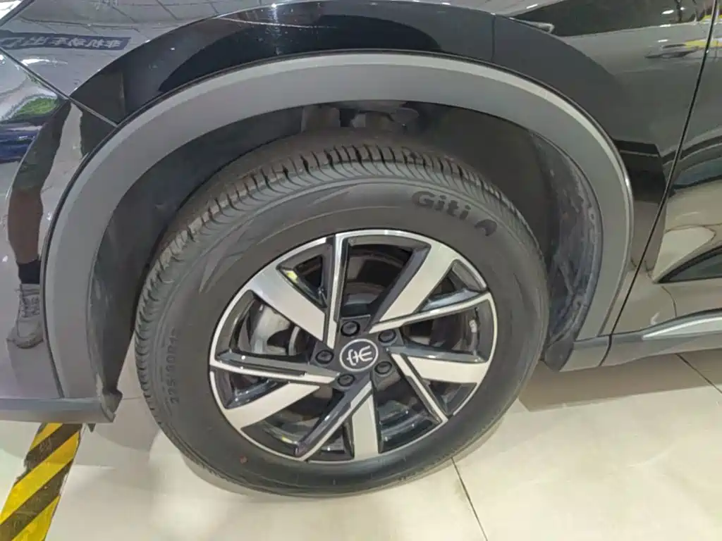 BYD Pro New Energy — фото 23
