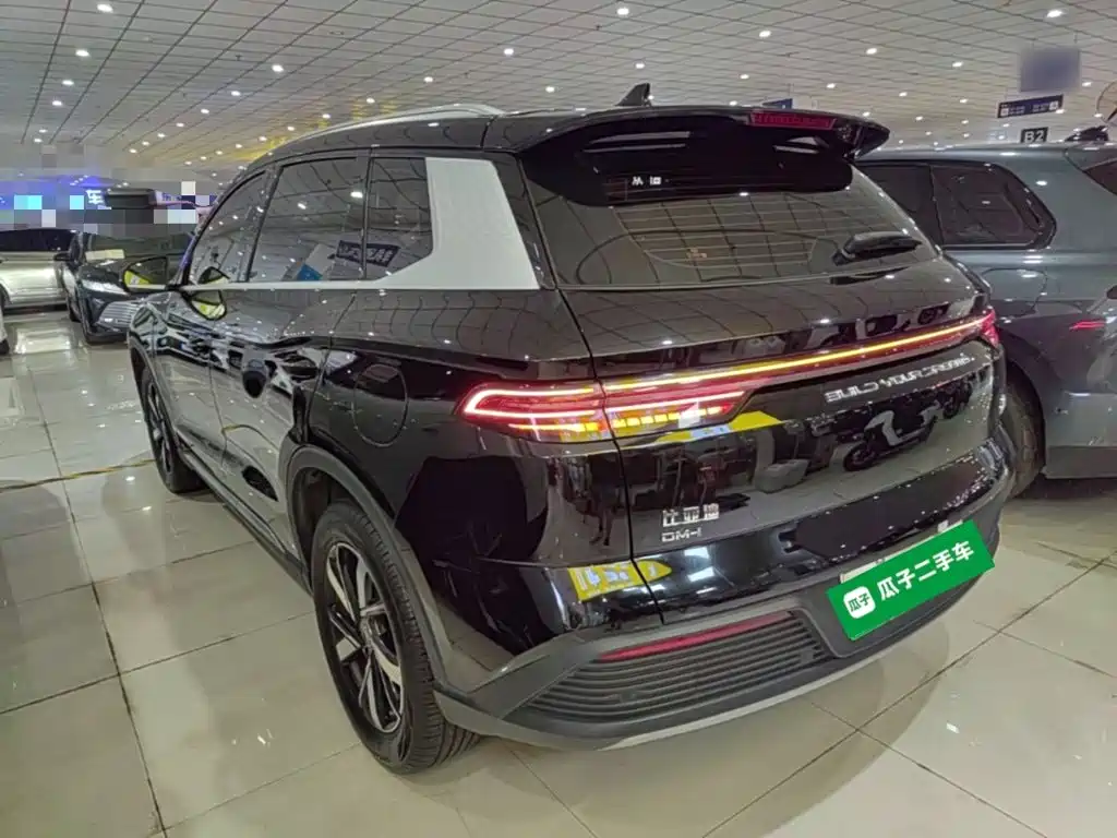BYD Pro New Energy — фото 5