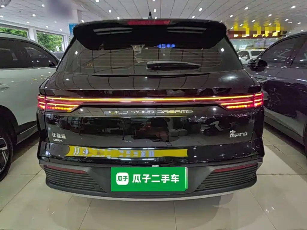 BYD Pro New Energy — фото 6