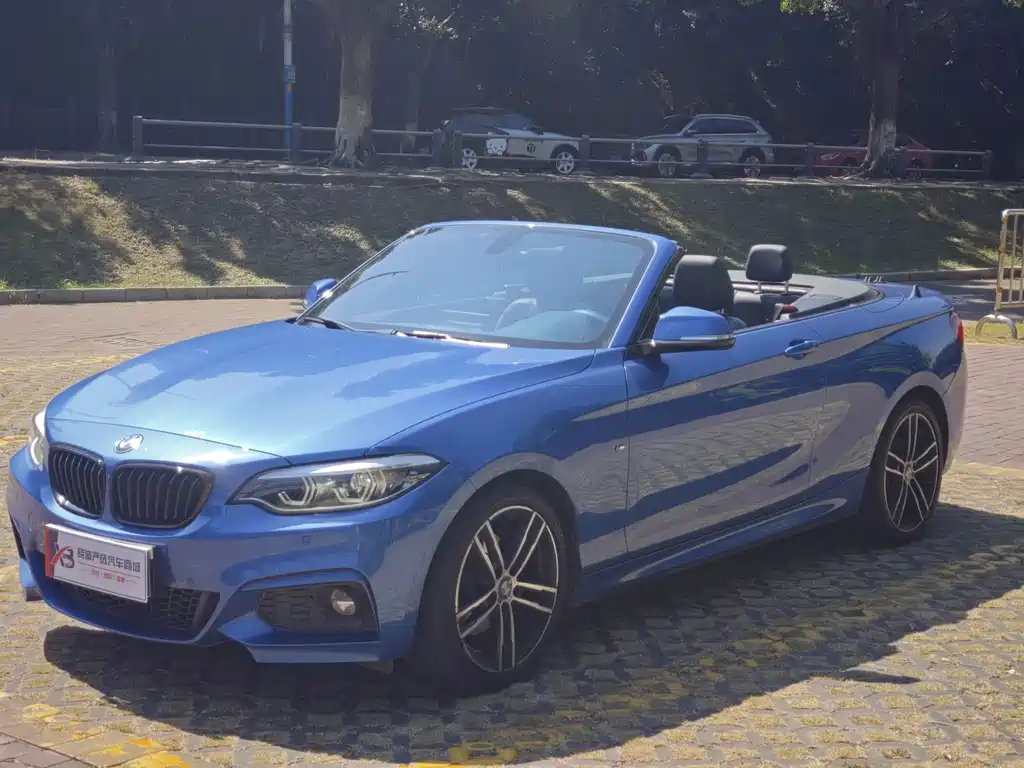 BMW 2 Series (Import) — фото 9