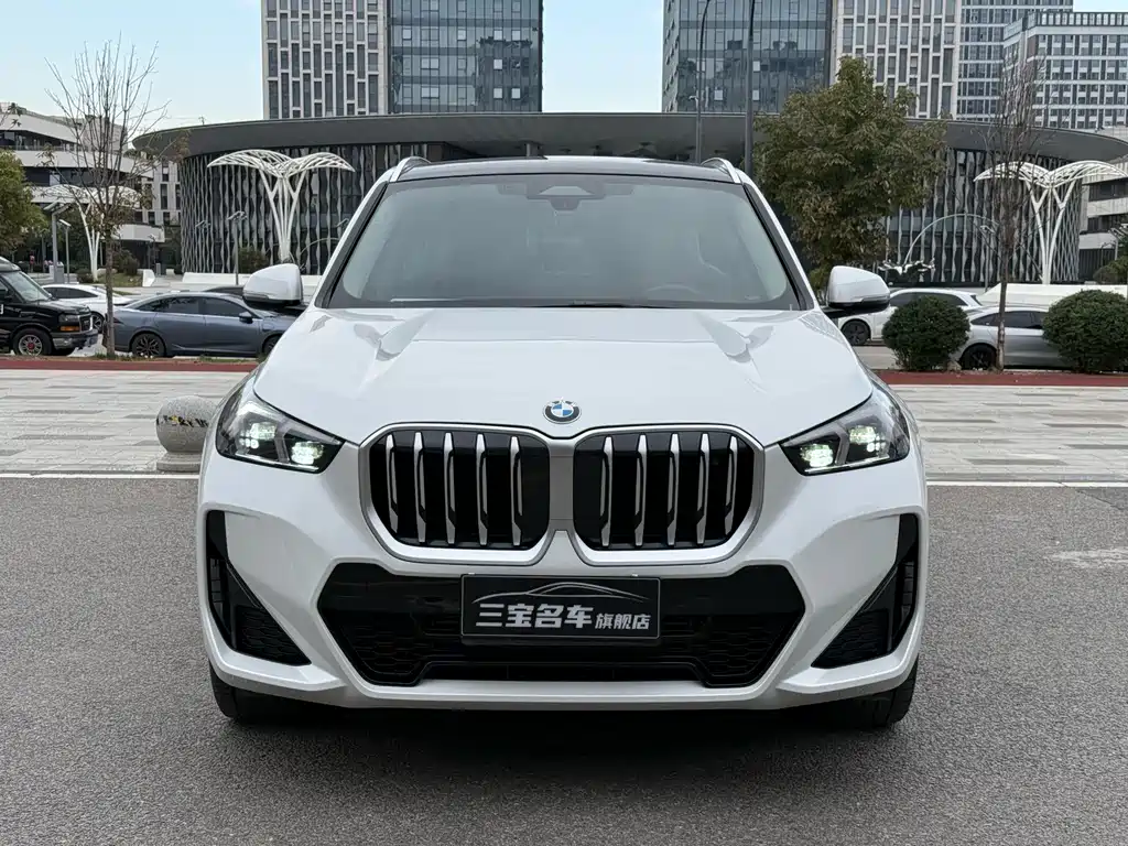 BMW X1 — фото 2