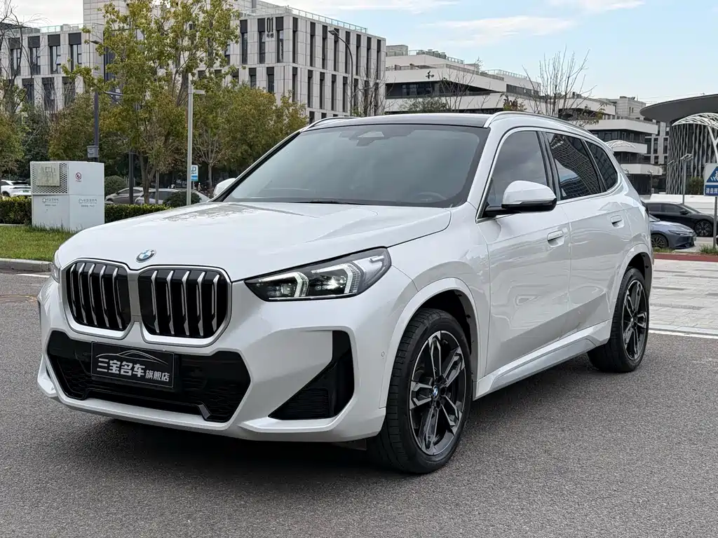 BMW X1 — фото 1