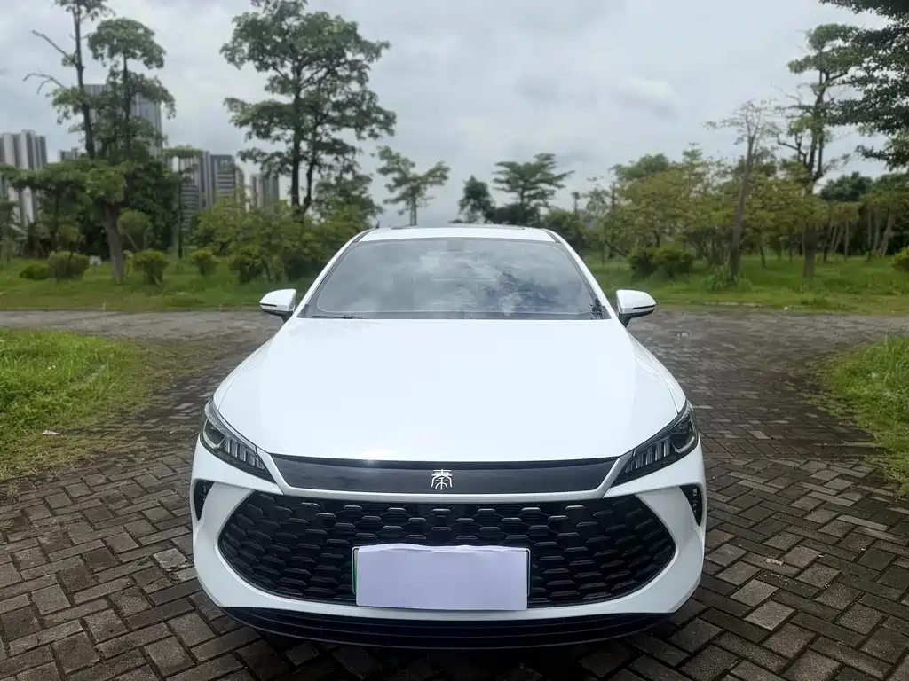 BYD Qin PLUS — фото 2