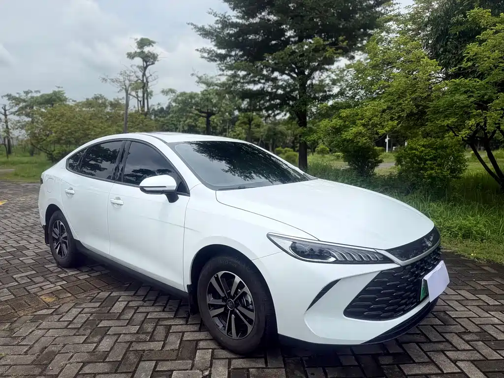 BYD Qin PLUS — фото 3