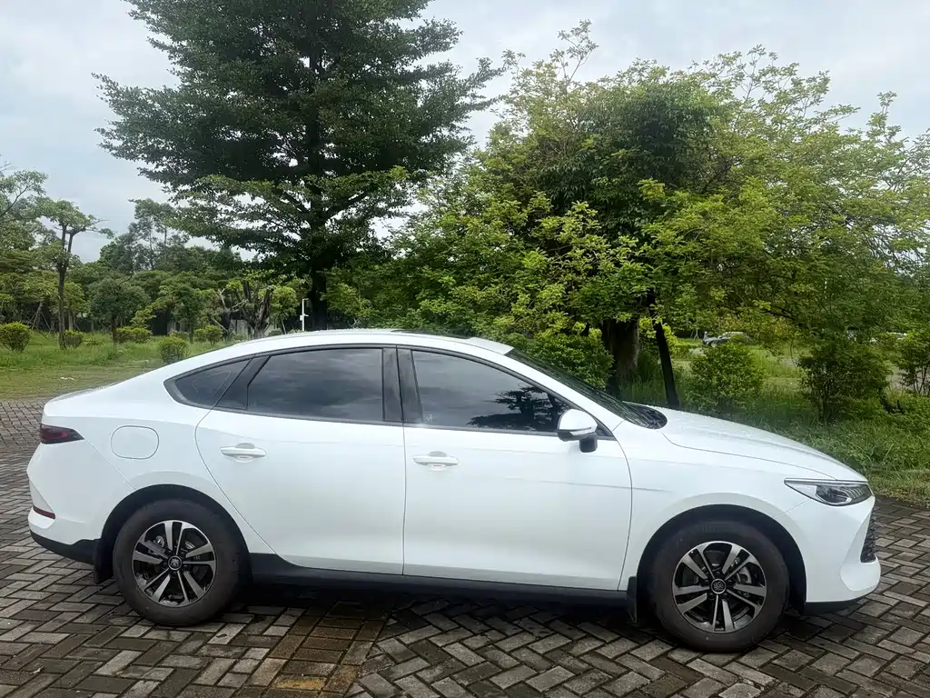 BYD Qin PLUS — фото 4