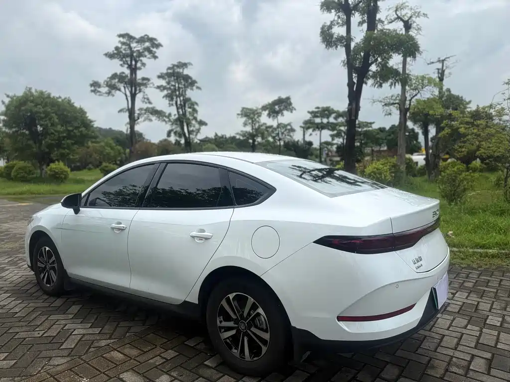 BYD Qin PLUS — фото 6