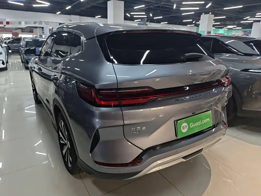 BYD PLUS New Energy — фото 5