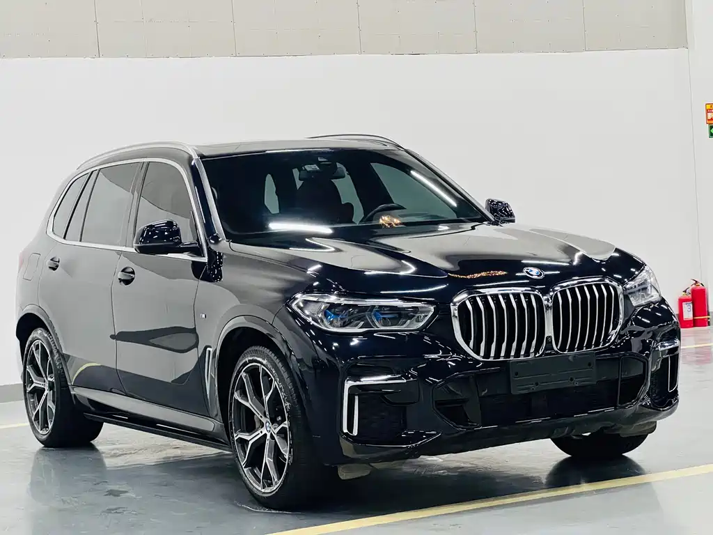 BMW X5 — фото 3