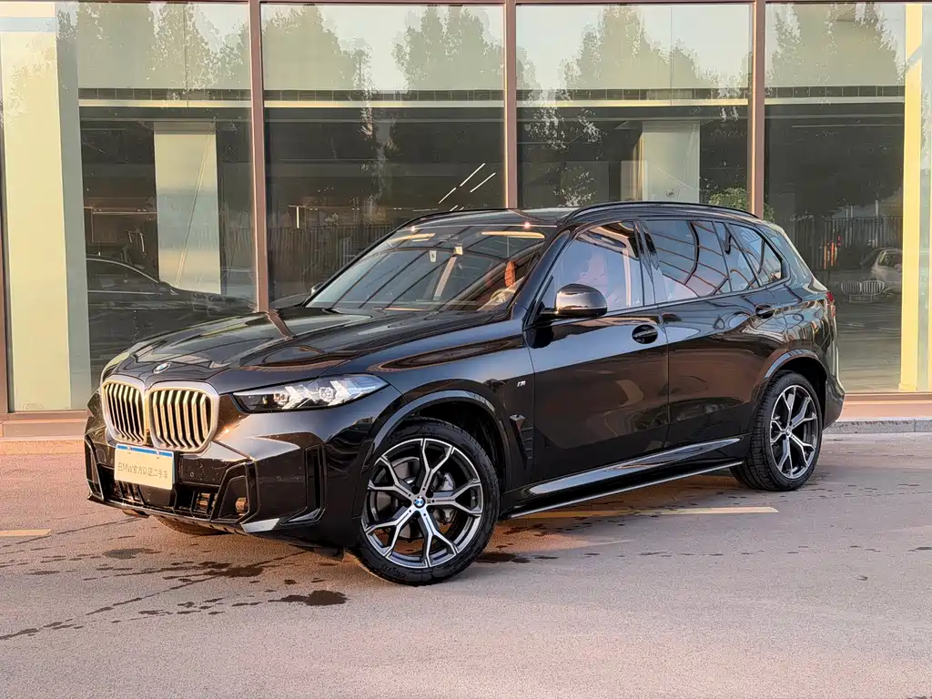 BMW X5 — фото 2