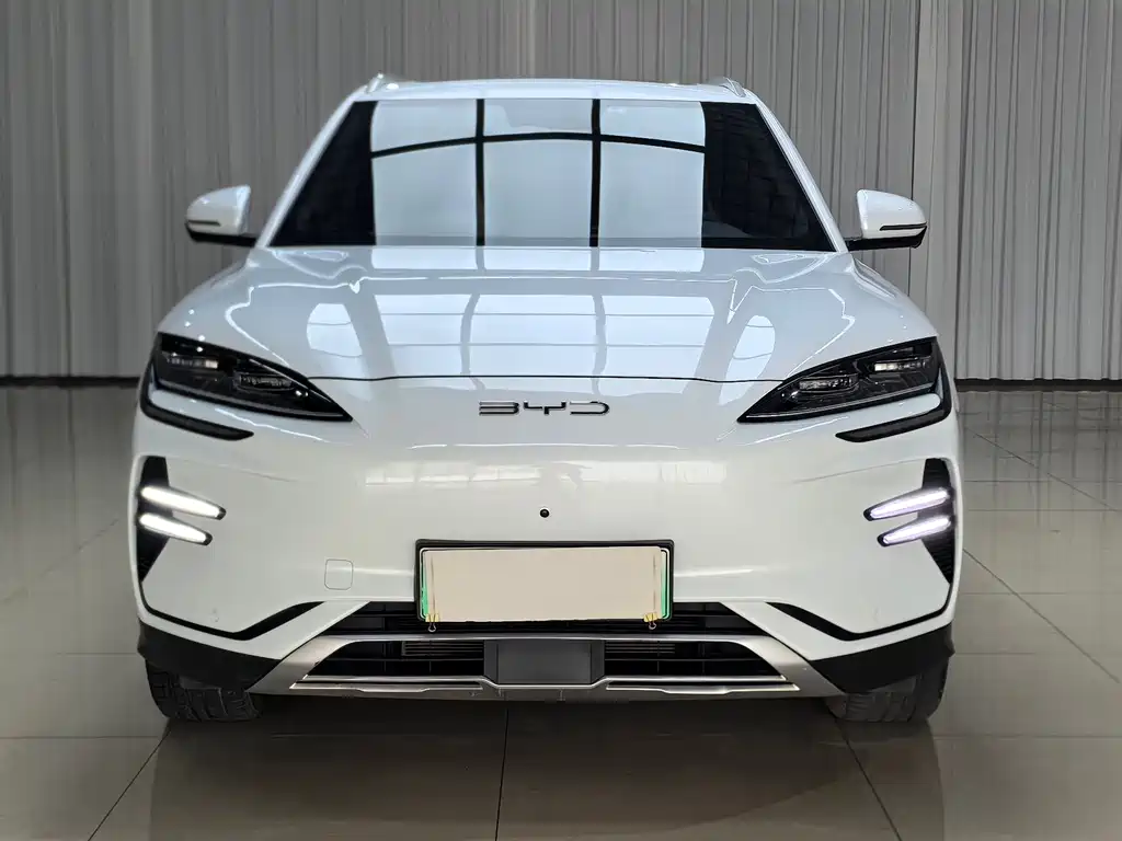 BYD PLUS New Energy — фото 2