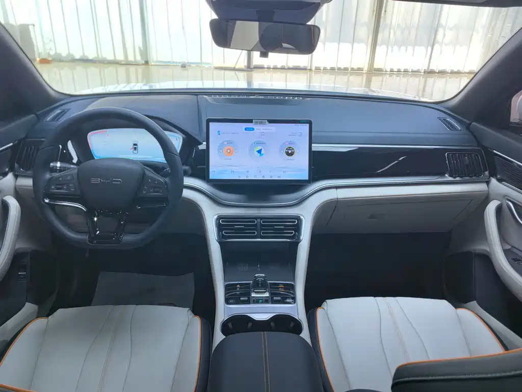 BYD PLUS New Energy — фото 11