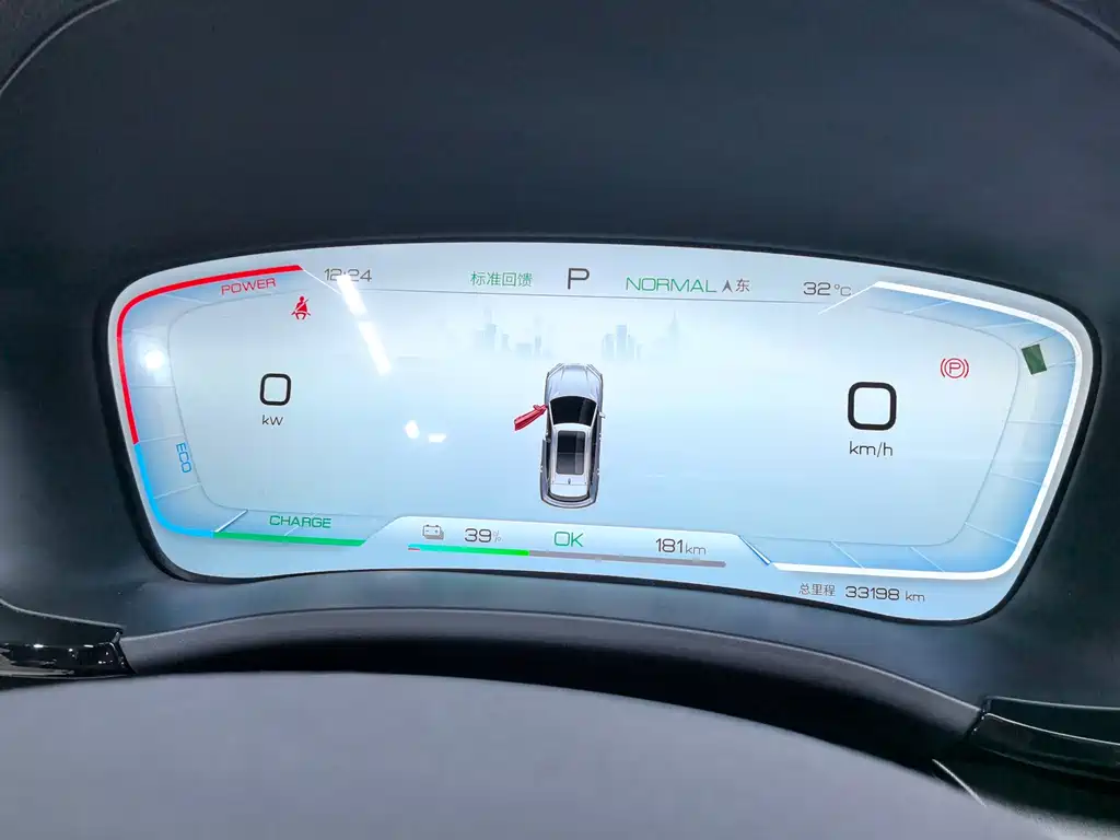 BYD PLUS New Energy — фото 19