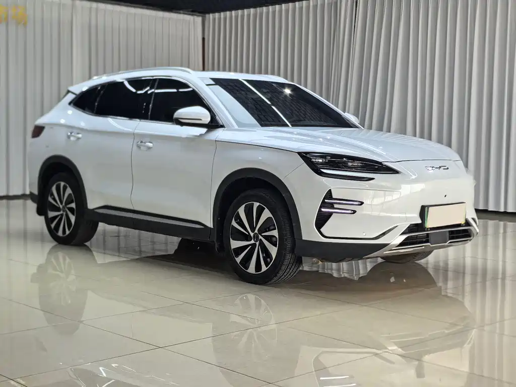 BYD PLUS New Energy — фото 3
