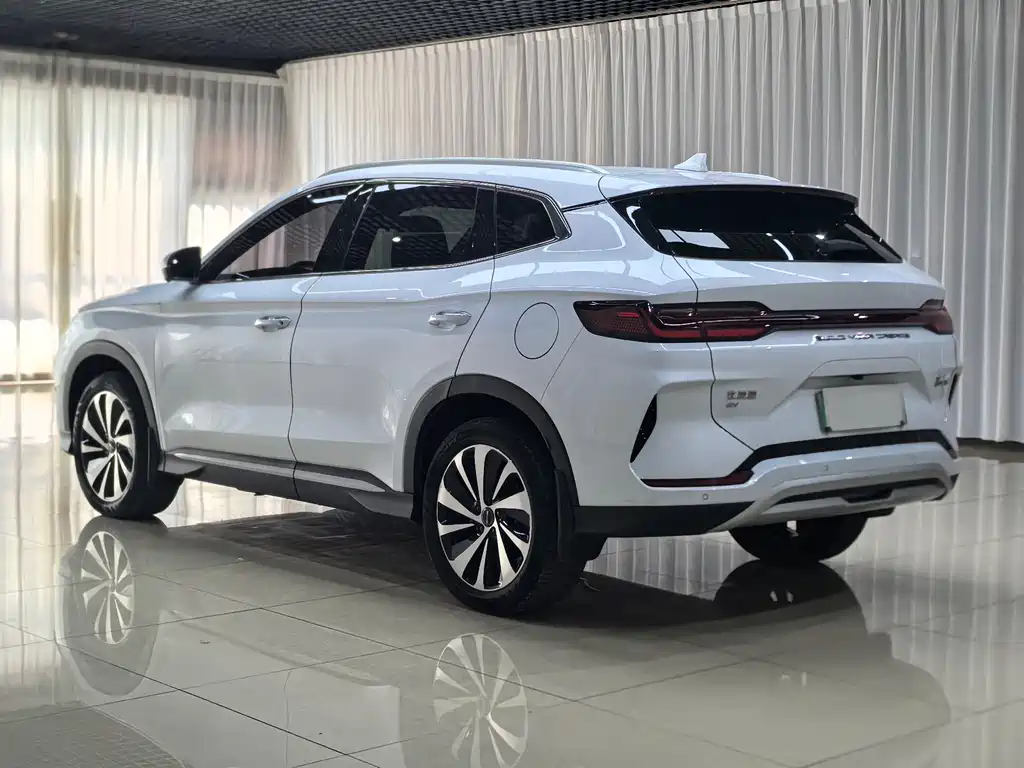 BYD PLUS New Energy — фото 4