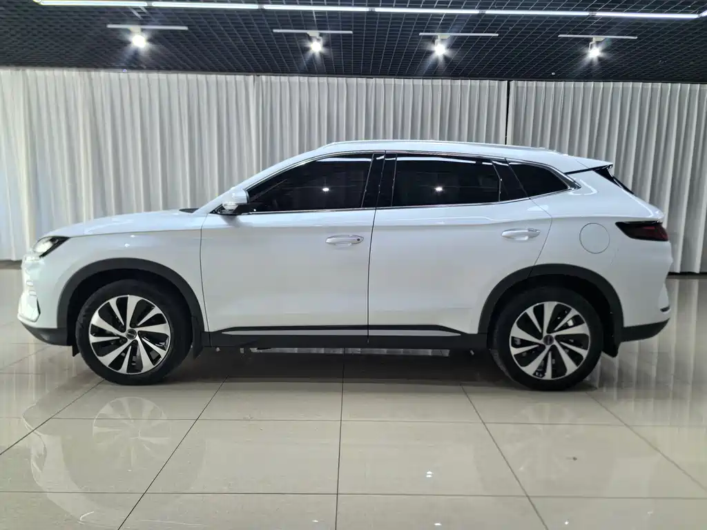BYD PLUS New Energy — фото 8
