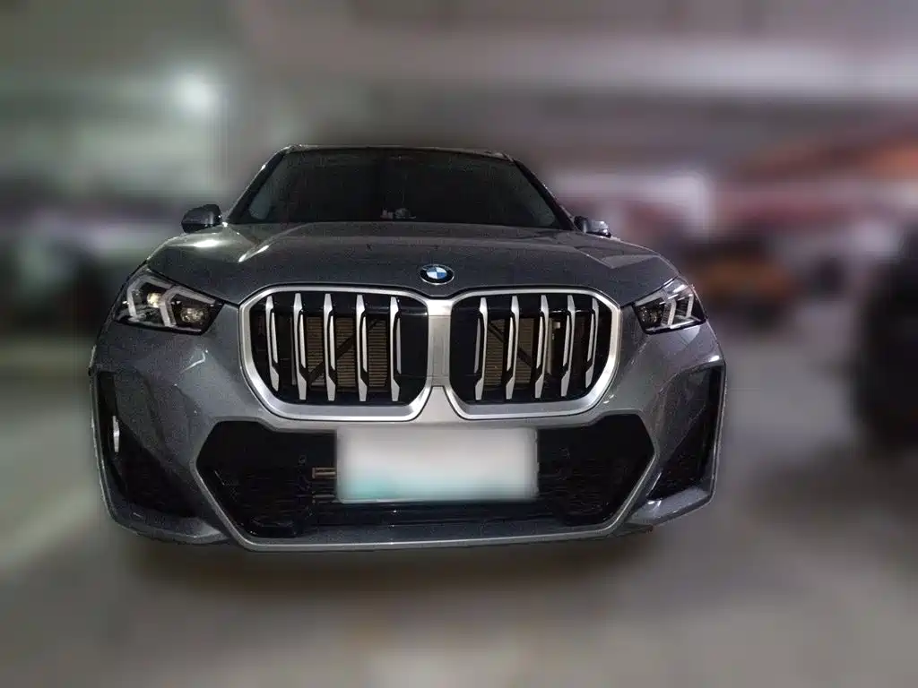 BMW X1 — фото 2