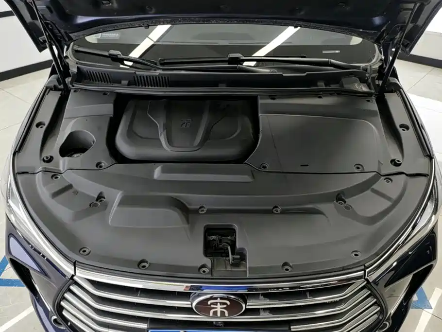 BYD MAX — фото 10