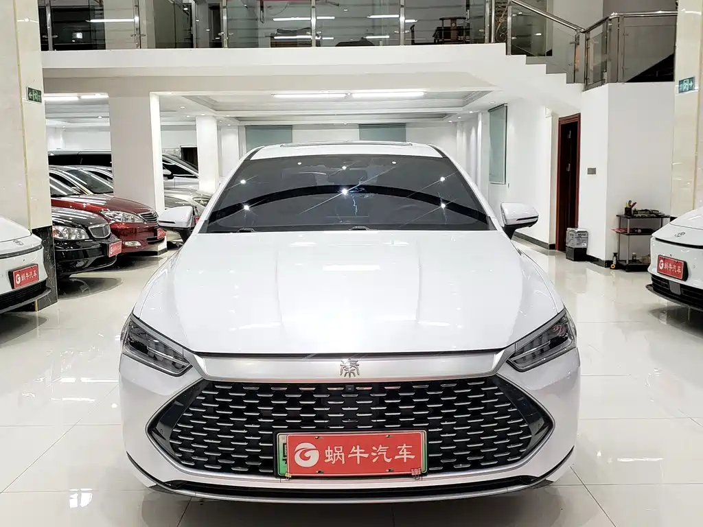 BYD Qin PLUS — фото 2