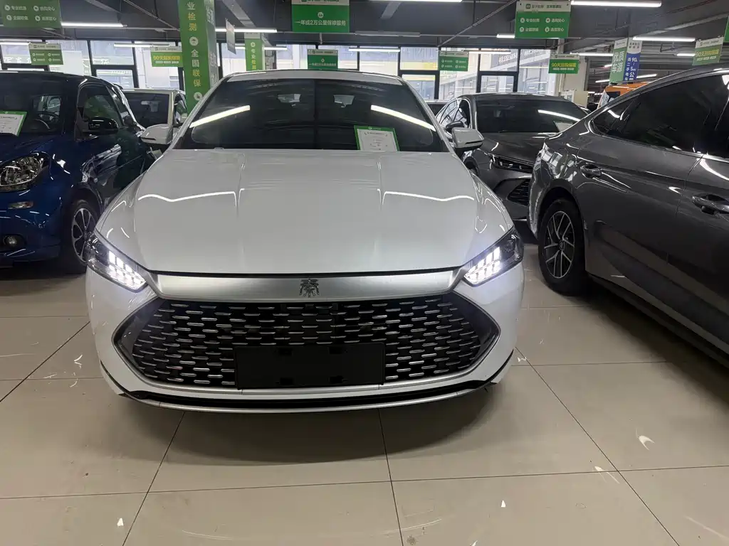 BYD Qin PLUS — фото 2