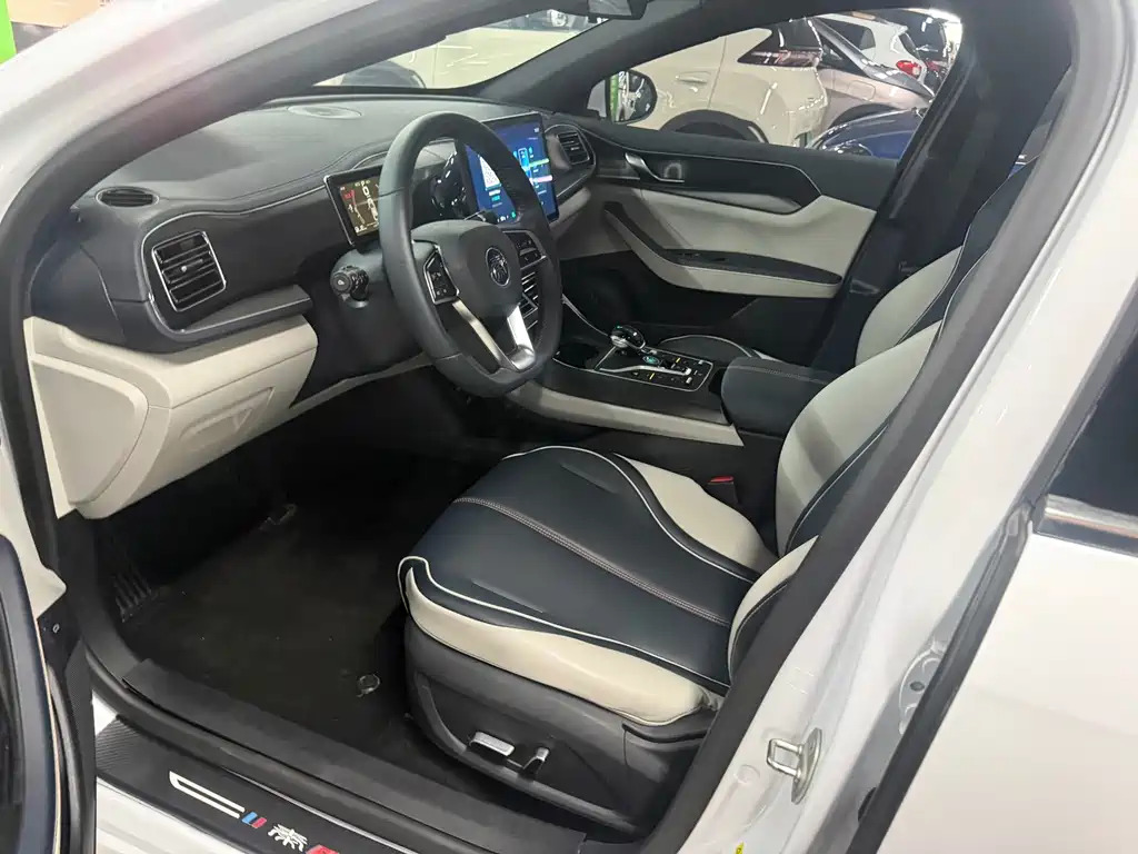 BYD Qin PLUS — фото 14