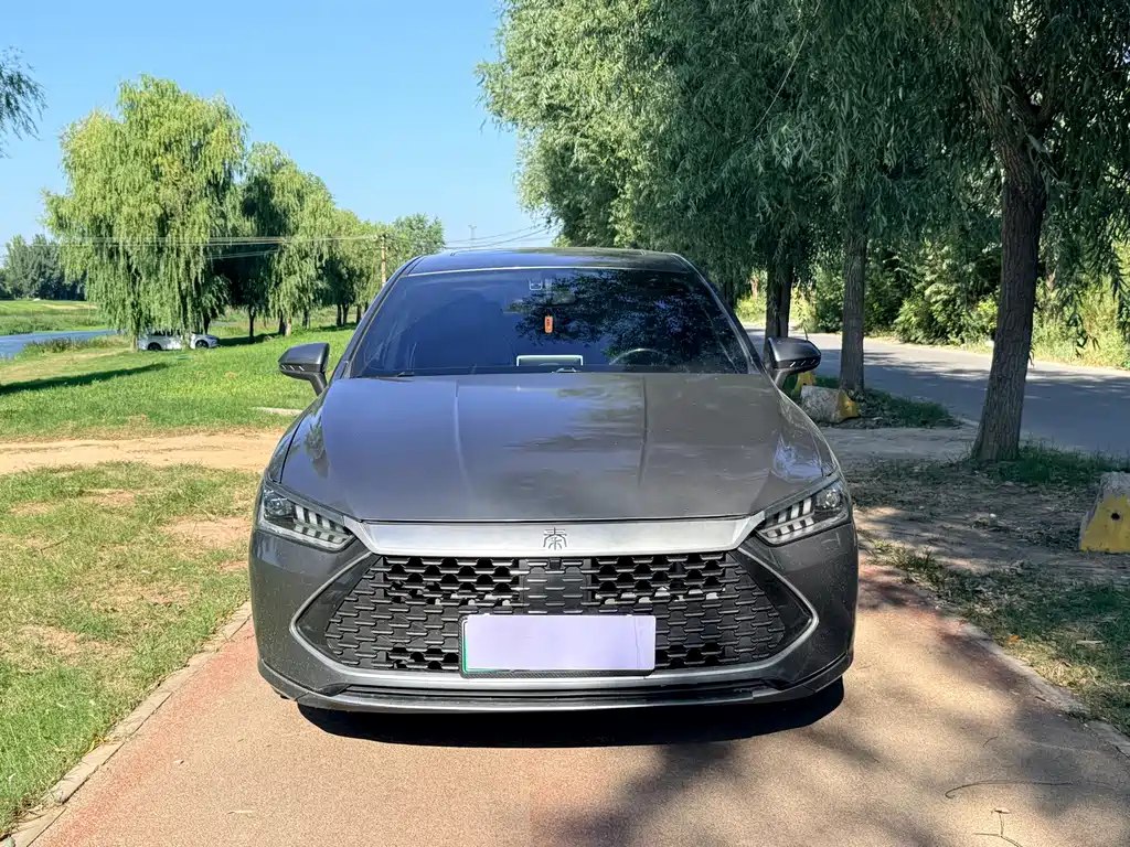 BYD Qin PLUS — фото 2