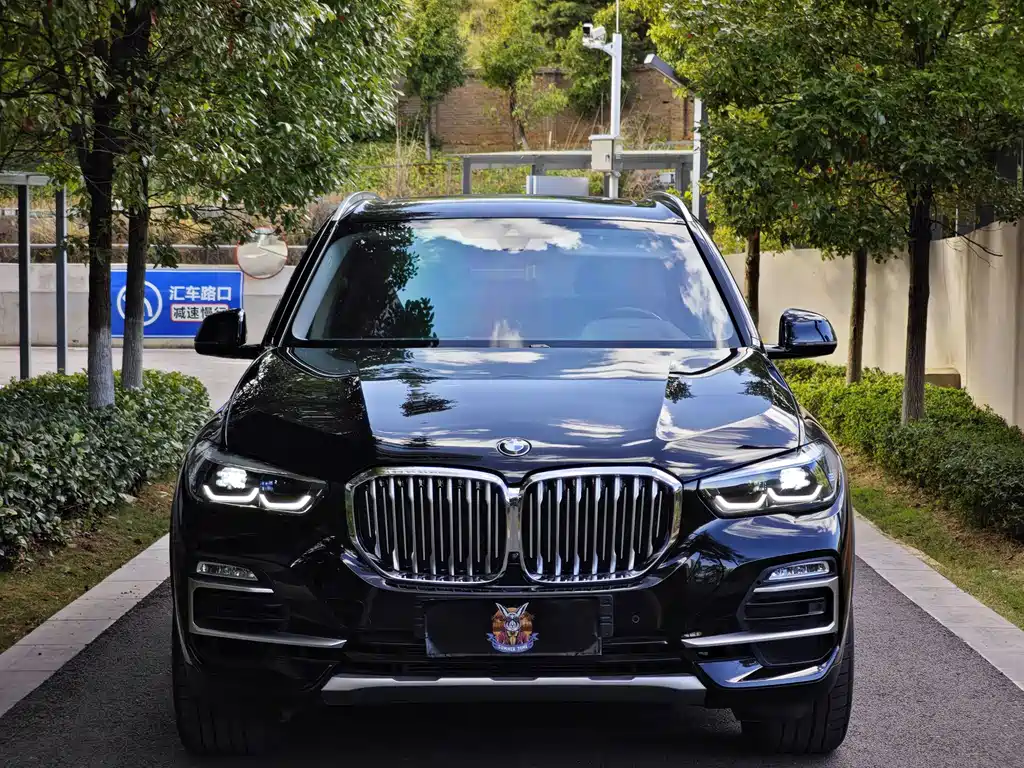 BMW X5 (Import) — фото 2