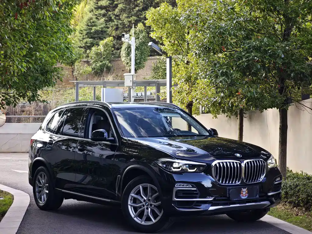 BMW X5 (Import) — фото 3