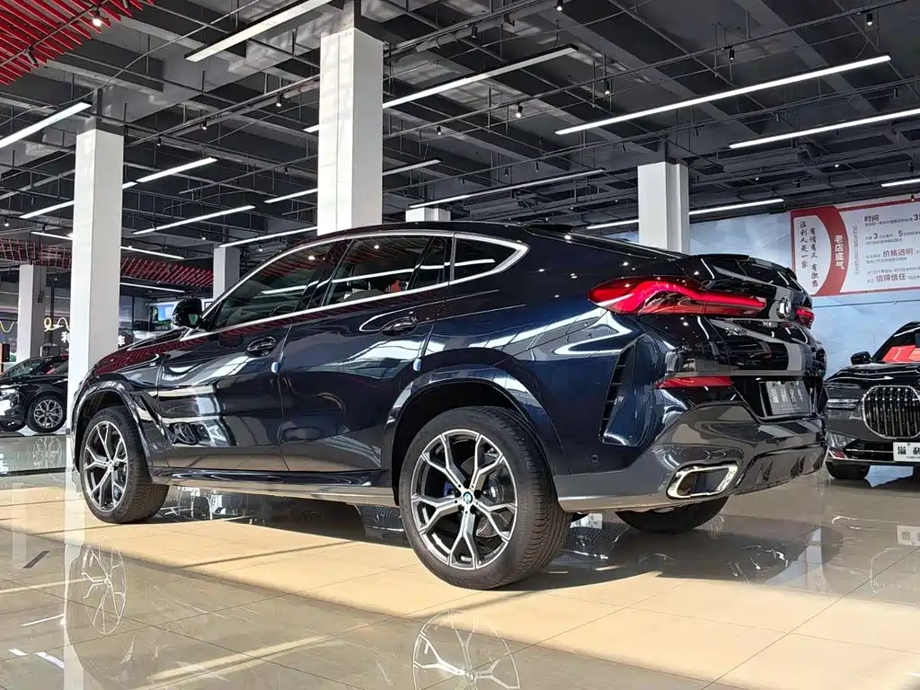 BMW X6 — фото 11