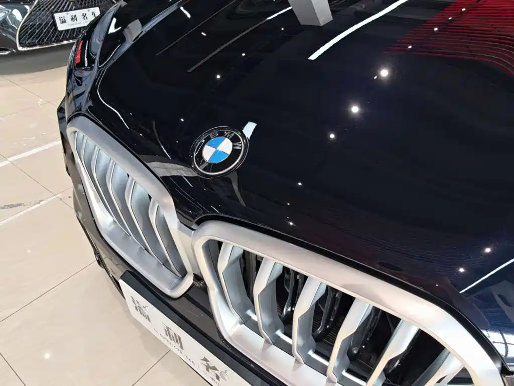 BMW X6 — фото 10