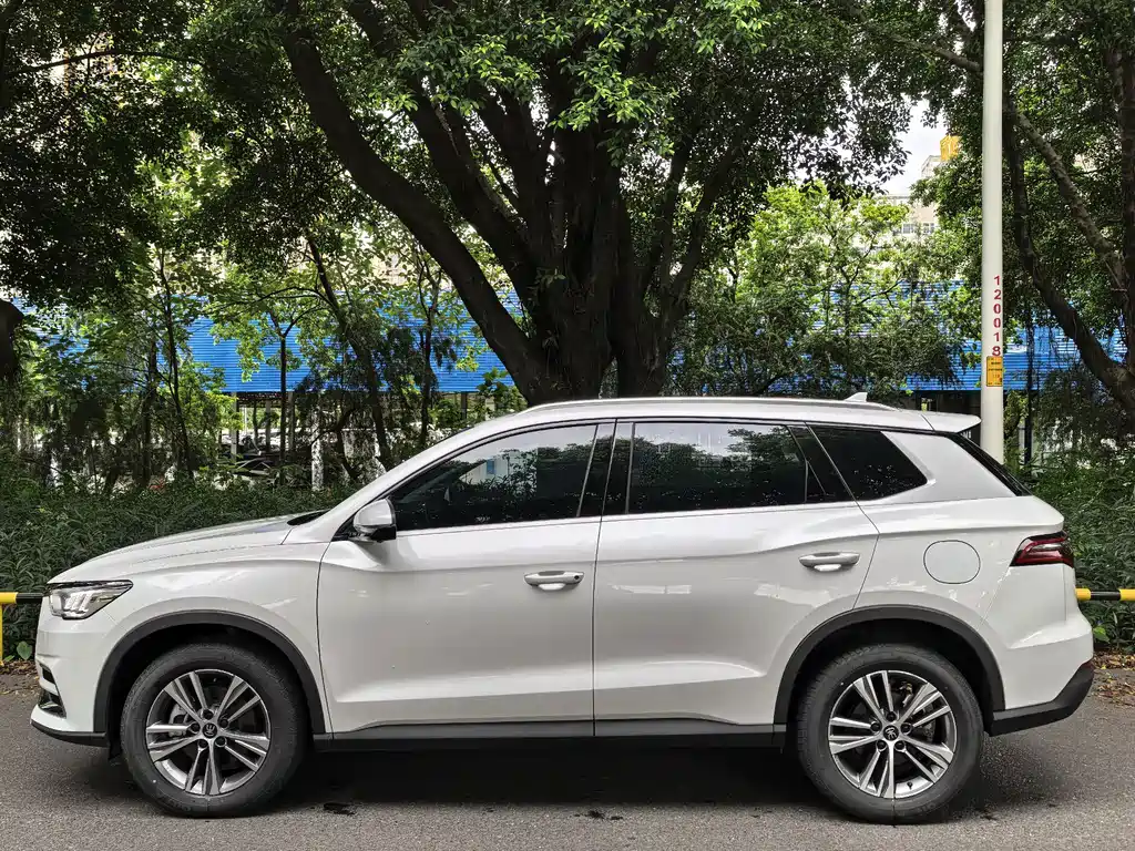 BYD Pro — фото 3