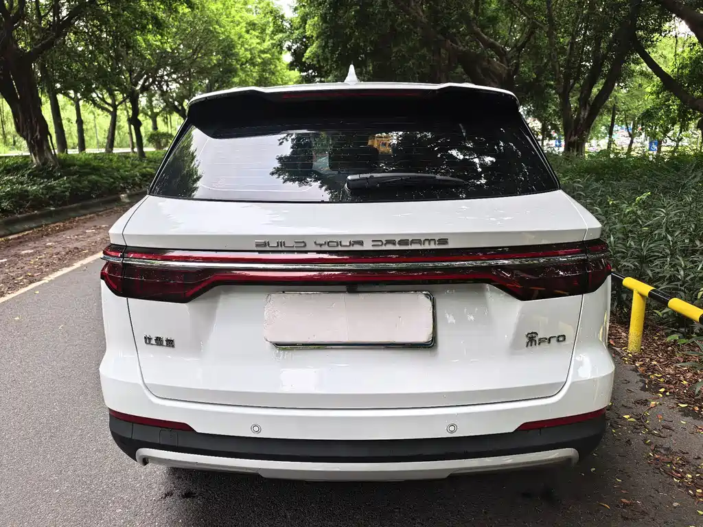 BYD Pro — фото 4