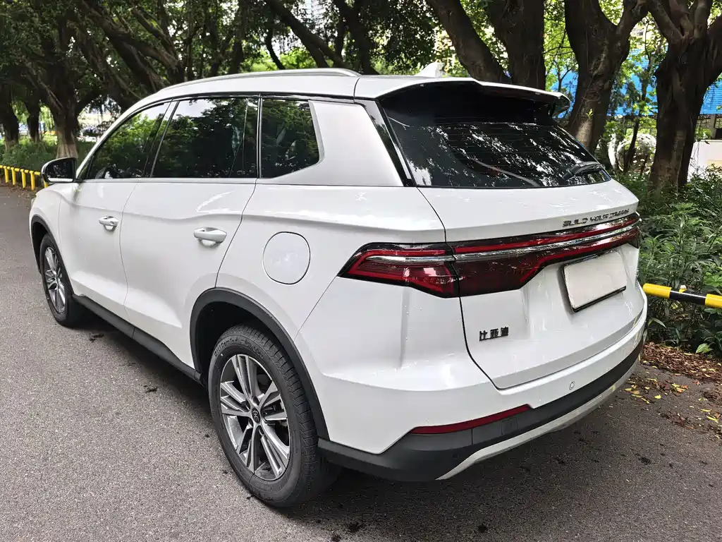 BYD Pro — фото 5