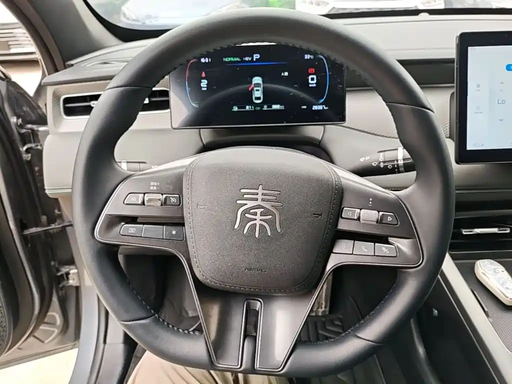 BYD Qin PLUS — фото 11