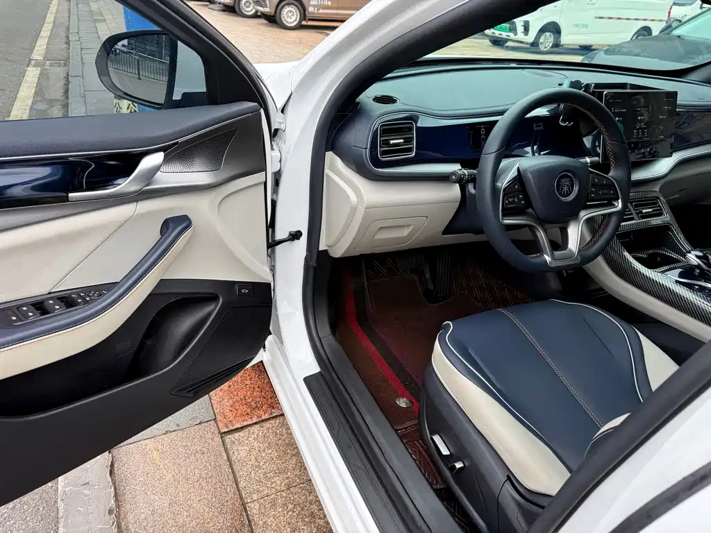 BYD Qin PLUS — фото 14