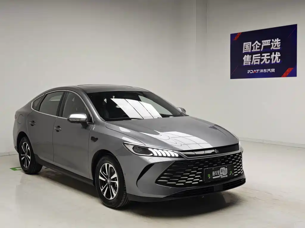 BYD Qin PLUS — фото 3