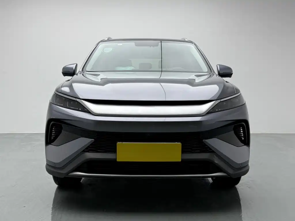 BYD Pro New Energy — фото 2