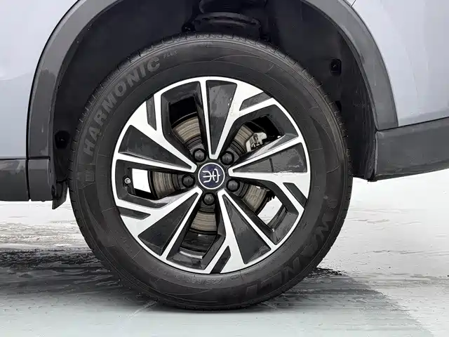 BYD Pro New Energy — фото 19