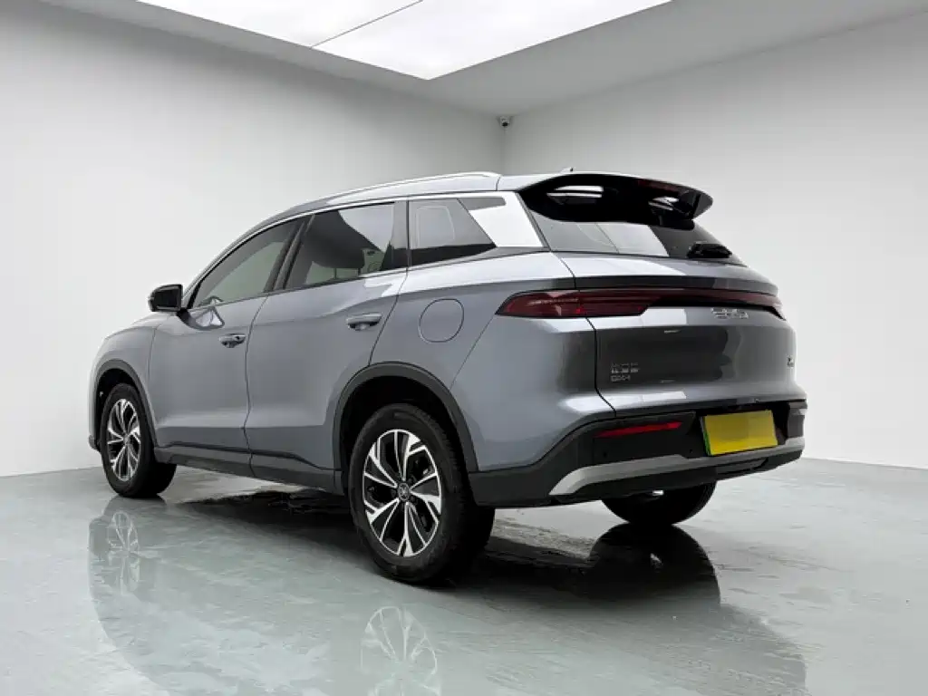 BYD Pro New Energy — фото 4
