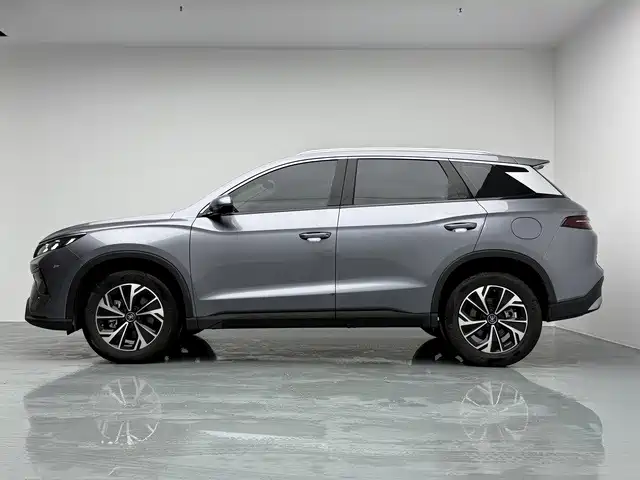 BYD Pro New Energy — фото 7