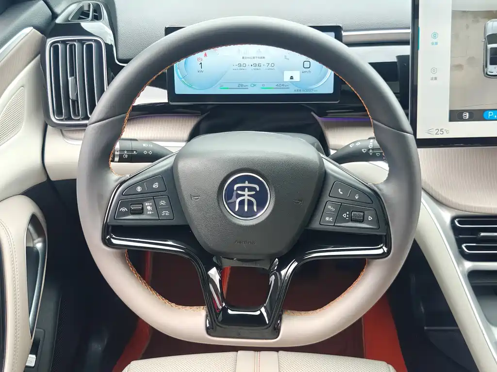 BYD Pro New Energy — фото 15