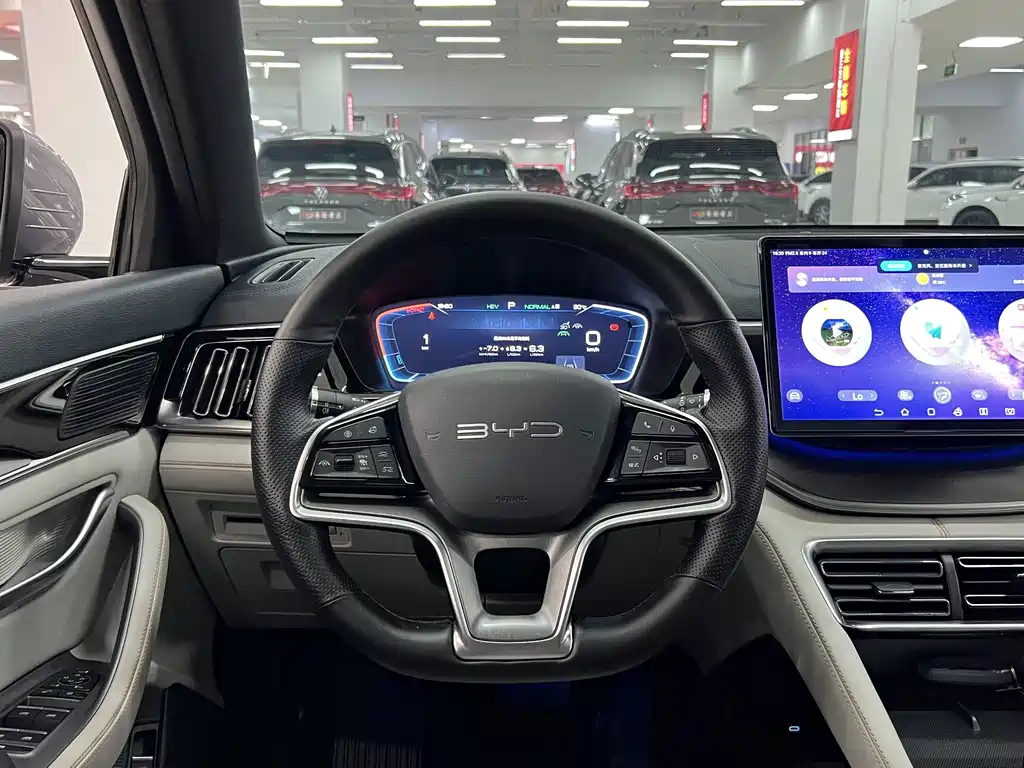 BYD PLUS New Energy — фото 11