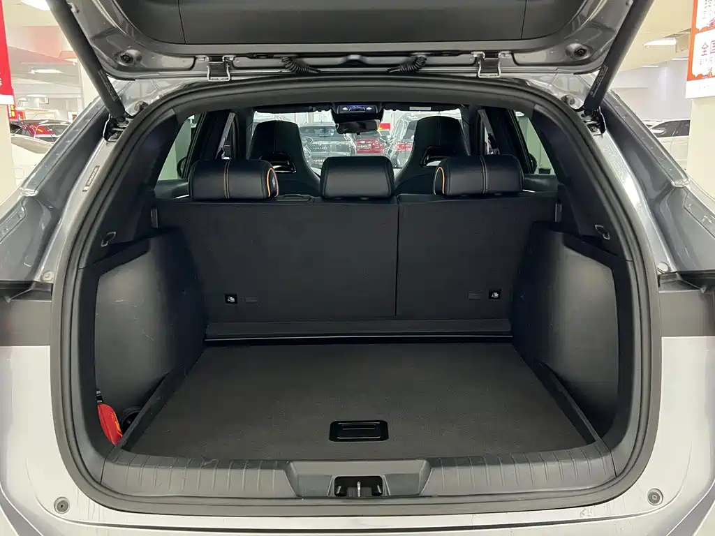 BYD PLUS New Energy — фото 17