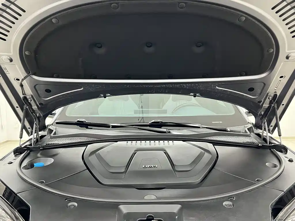 BYD PLUS New Energy — фото 18