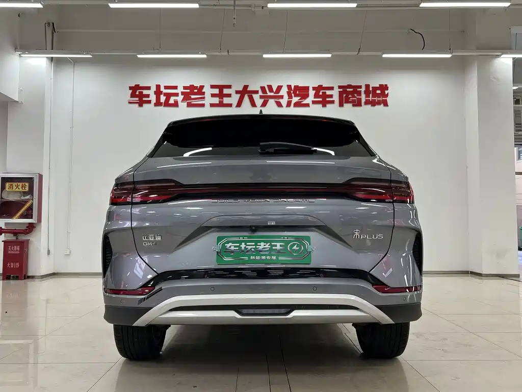 BYD PLUS New Energy — фото 5